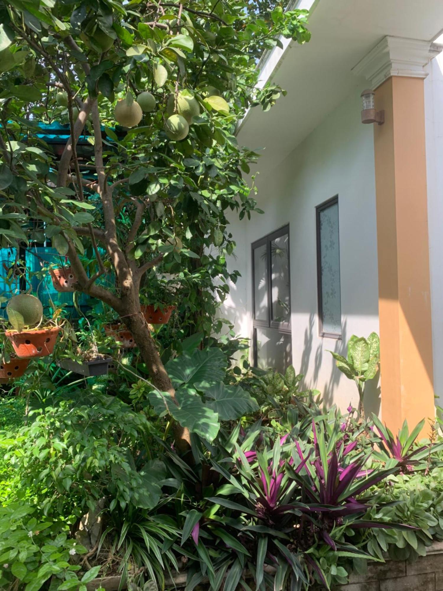 Tam Coc Minh Gia Homestay Ninh Bình Ngoại thất bức ảnh