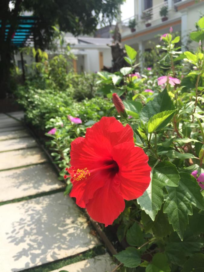 Tam Coc Minh Gia Homestay Ninh Bình Ngoại thất bức ảnh